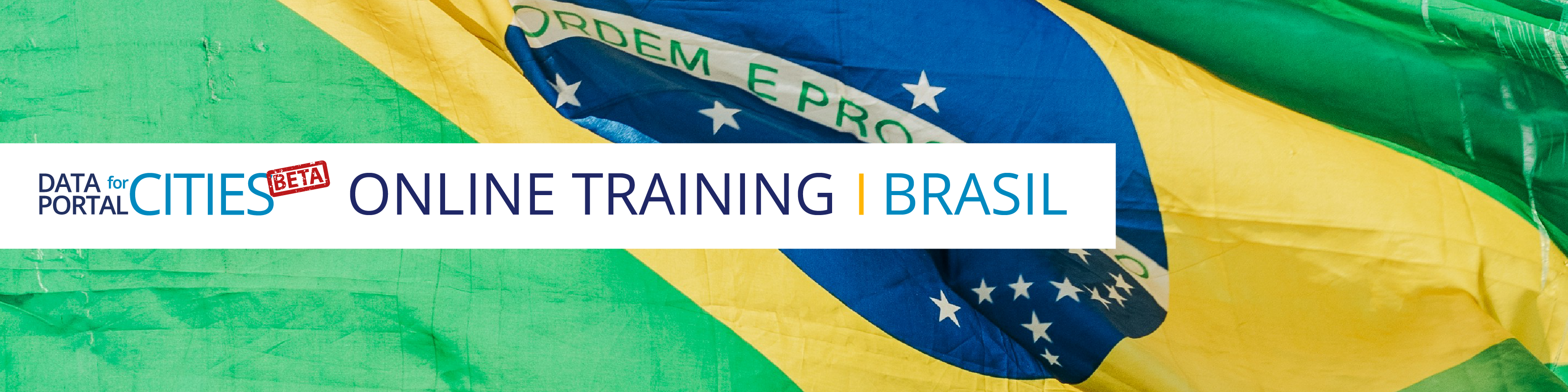 Online training Brasil
